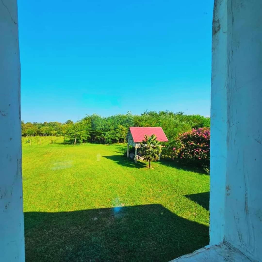 Blue Guest House Samtredia Ngoại thất bức ảnh