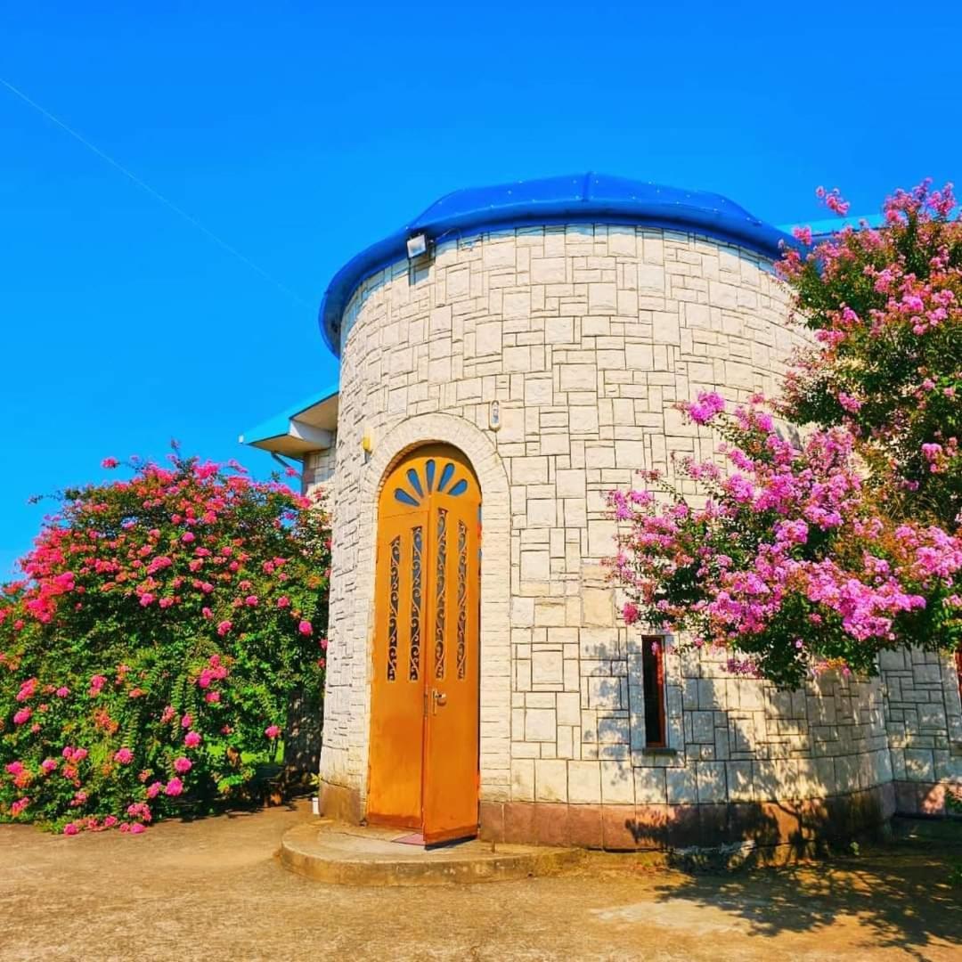 Blue Guest House Samtredia Ngoại thất bức ảnh