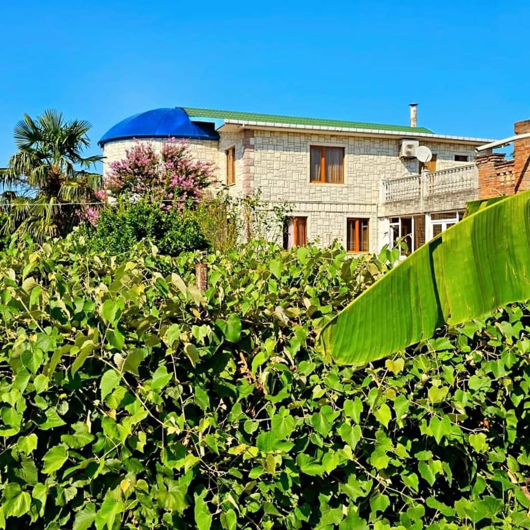 Blue Guest House Samtredia Ngoại thất bức ảnh